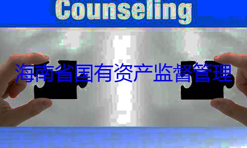 委副书记王海南省国有查调查资产监督管理委员会党有福接受审